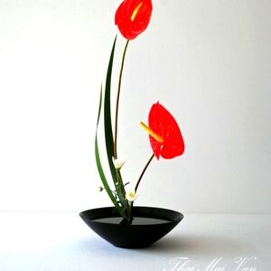 Elegant Black Vase with Red Anthurium Arrangement